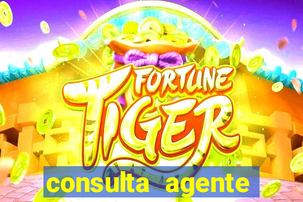 consulta agente autuador sp